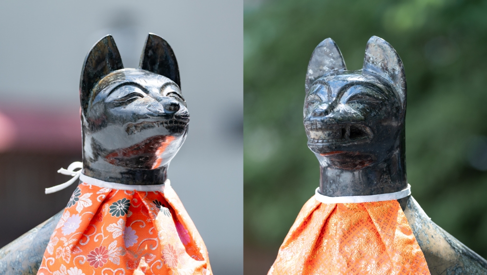 Laughing and smiling foxes