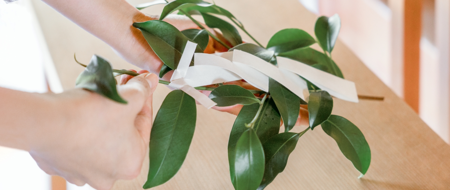 What is “gokito”?