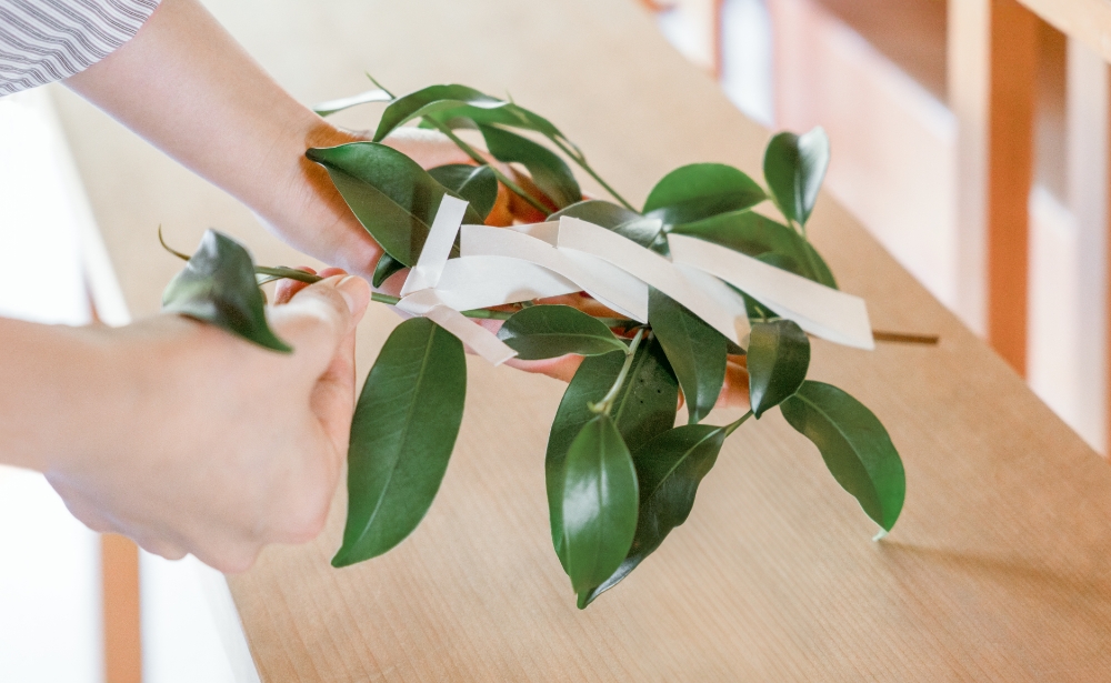Tamagushi (sacred branch) offering